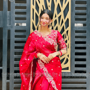 Party Madhuri Saree with Heavy Embroidered Blouse